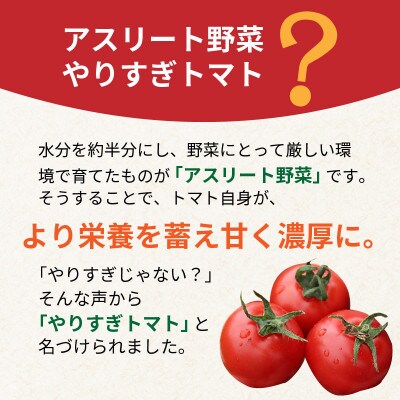 【限定】やりすぎトマト (15～18玉×2箱)【冬】期間限定8,000円