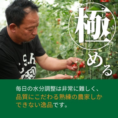 【希少】京都・和田農園のプレシャストマトジュースセット　12本