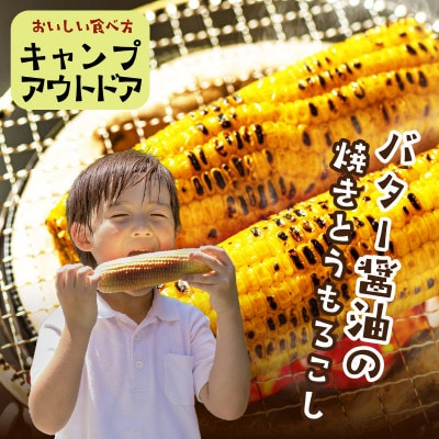 鮮度抜群!生でも食べられる高糖度!もぎたて フルーツトウモロコシ「ホワイトコーン」10本