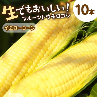 鮮度抜群!生でも食べられる高糖度!もぎたて フルーツトウモロコシ「イエローコーン」10本