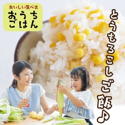 鮮度抜群!生でも食べられる高糖度!もぎたて フルーツトウモロコシ「イエローコーン」10本