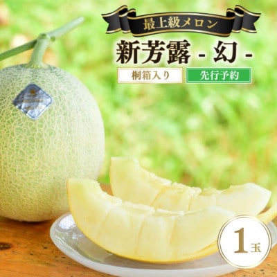 【先行予約】 年間生産量200玉の最上級メロン「新芳露-幻-」(2025年7月下旬～発送)