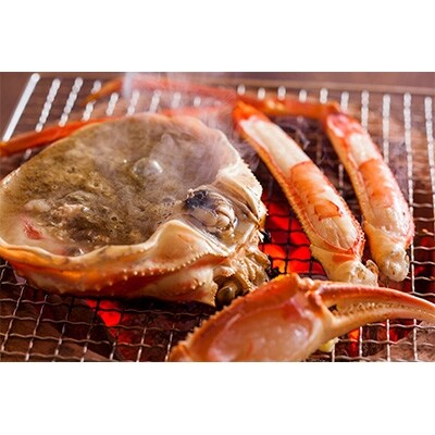 松葉ガニ堪能セット　特々大サイズ　2人用【11月～12月発送】