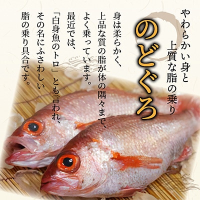 のどくろ、笹カレイ入り　一夜干し詰め合わせ　プラチナ