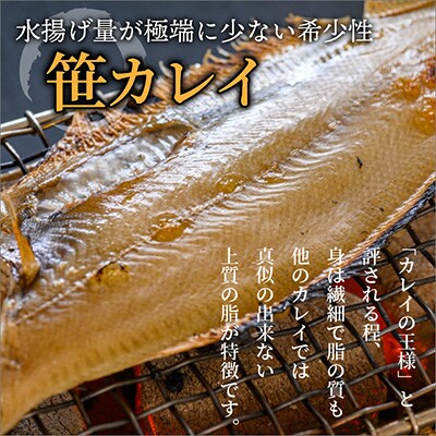 のどくろ、笹カレイ入り　一夜干し詰め合わせ　プラチナ