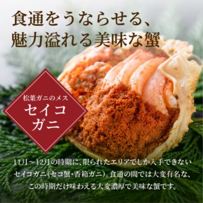 松葉ガニ堪能セット　ビッグサイズ　2人用【2022年発送】
