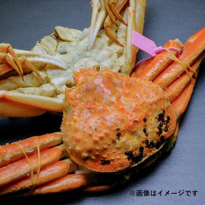 蟹の匠 魚政のボイル済み 急速冷凍 茹でズワイガニ 700g級 2匹