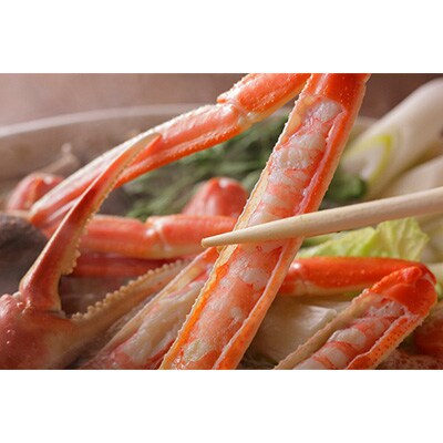 蟹の匠 魚政のプレミアムズワイガニ堪能セット 特々大サイズ(2025年1月～発送)