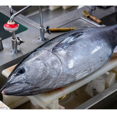 カニ屋が作る　魚ローストフィッシュ　 シビマグロ　1袋 約200g×3袋入り(ドレッシングソース付)