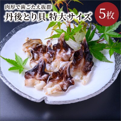 丹後とり貝　ボイル済み　特大サイズ　5枚入り