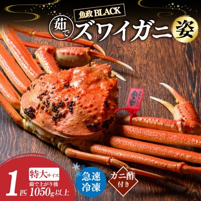 【急速冷凍　松葉ガ二】魚政BLACK 茹でズワイガニ特大サイズ 1杯【姿のまま】カニ酢付き