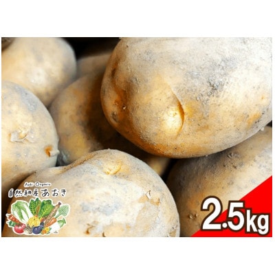 【先行予約】自然のままに育ったじゃがいも2.5kg(7月上旬～順次発送)3品種のいずれかお届け