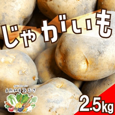 【先行予約】自然のままに育ったじゃがいも2.5kg(7月上旬～順次発送)3品種のいずれかお届け