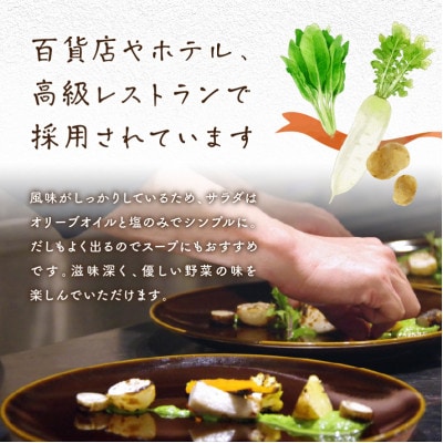 【先行予約】自然のままに育ったじゃがいも2.5kg(7月上旬～順次発送)3品種のいずれかお届け