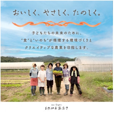 【先行予約】自然のままに育ったじゃがいも2.5kg(7月上旬～順次発送)3品種のいずれかお届け