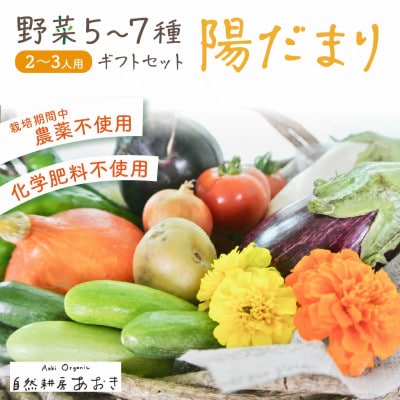 野菜5～7種セット(陽だまり)葉物・根菜・その他詰め合わせ　2～3人用　爽やかな甘みとコクがある野菜