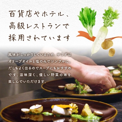 野菜5～7種セット(陽だまり)葉物・根菜・その他詰め合わせ　2～3人用　爽やかな甘みとコクがある野菜