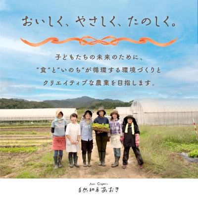 野菜5～7種セット(陽だまり)葉物・根菜・その他詰め合わせ　2～3人用　爽やかな甘みとコクがある野菜