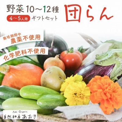 野菜10～12種セット(団らん)爽やかな甘みとコク　葉物・根菜・その他詰め合わせ　 4～5人用