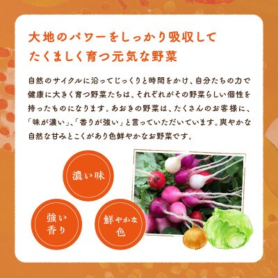 野菜10～12種セット(団らん)爽やかな甘みとコク　葉物・根菜・その他詰め合わせ　 4～5人用