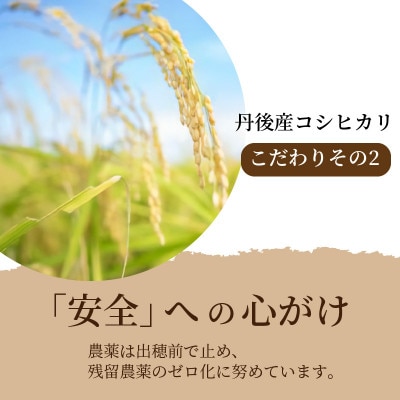 令和6年産　京都・京丹後産コシヒカリ　5kg(5kg×1袋)