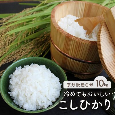 令和6年産　京都・京丹後産コシヒカリ　10kg(5kg×2袋)