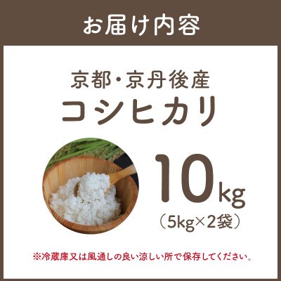 令和6年産　京都・京丹後産コシヒカリ　10kg(5kg×2袋)