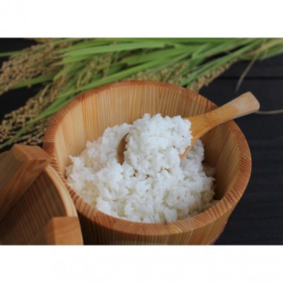 令和6年産　京都・京丹後産コシヒカリ　10kg(5kg×2袋)