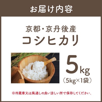 令和7年産　京都・京丹後産コシヒカリ　5kg(5kg×1袋)自然な甘み、つやつや食感で美味しいお米