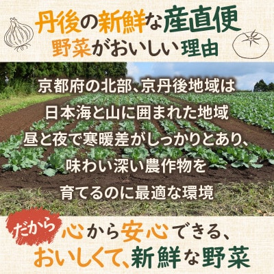 京都 京丹後の旬を味わう!季節の彩り、採れたて野菜5~8種セット(小)京丹後の旬をお楽しみ