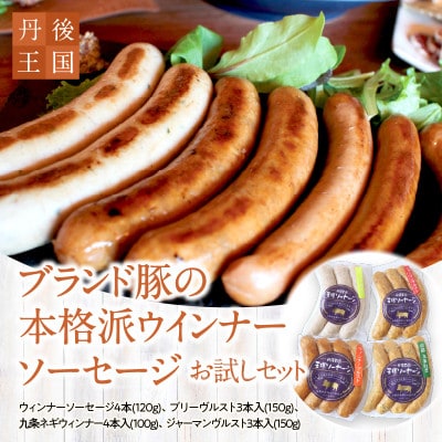 京都【丹後王国】から本場仕込みの味!ブランド豚使用の本格派ウインナー・ソーセージお試しセット