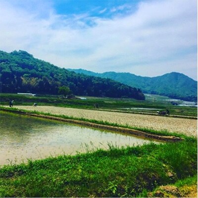無添加の黒豆おこわセット【4合】