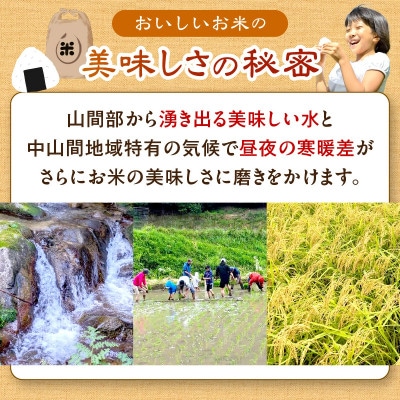 2025年産 京都・久美浜産 特別栽培米コシヒカリ 精米 1.5kg×1袋 農家直送のおいしいお米