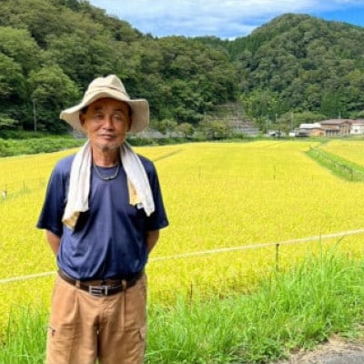 京丹後・野間産 田渕さんちのおいしいお米 個包装 2合×6袋入 丹後コシヒカリ 1.8kg