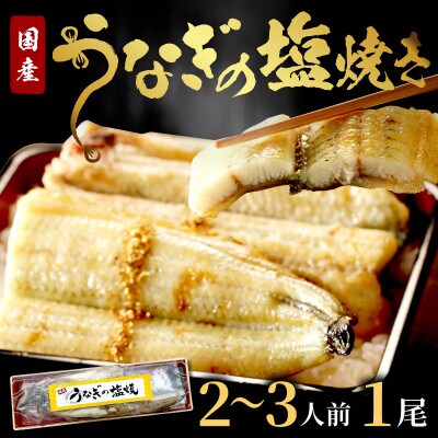 国産うなぎの塩焼き2～3人前(1尾) 新月の塩を使用 特製タレと山椒付き 炭火で丹念に焼き上げた鰻