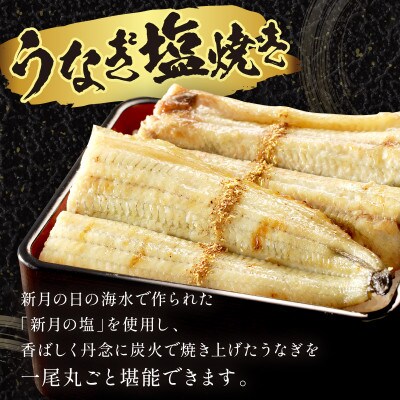 国産うなぎの塩焼き2～3人前(1尾) 新月の塩を使用 特製タレと山椒付き 炭火で丹念に焼き上げた鰻