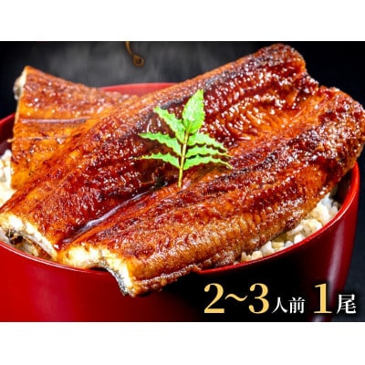 【土用の丑の日に】国産うなぎの蒲焼2～3人前(1尾)スタミナ満点のうなぎで夏を乗りきろう!