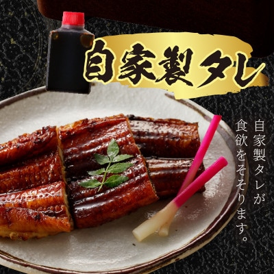 【土用の丑の日に】国産うなぎの蒲焼2～3人前(1尾)スタミナ満点のうなぎで夏を乗りきろう!