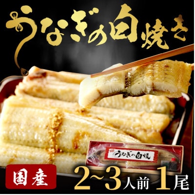 【土用の丑の日に!】うなぎの白焼き2～3人前(1尾)スタミナ満点のうなぎで夏を乗りきろう!