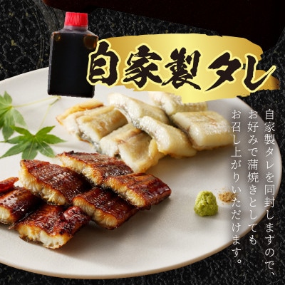 【土用の丑の日に!】うなぎの食べ比べセット2～3人前【蒲焼き・白焼きそれぞれ1/2尾】