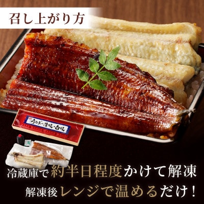 【土用の丑の日に!】うなぎの食べ比べセット2～3人前【蒲焼き・白焼きそれぞれ1/2尾】