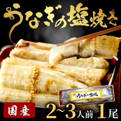 【土用の丑の日に!】《新月の塩》使用!うなぎの塩焼き2～3人前(1尾)夏はスタミナ満点の鰻!