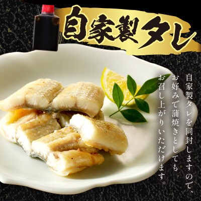 【土用の丑の日に!】《新月の塩》使用!うなぎの塩焼き2～3人前(1尾)夏はスタミナ満点の鰻!