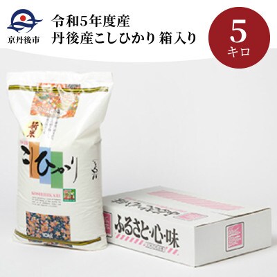 令和5年産　丹後産こしひかり5kg箱入り