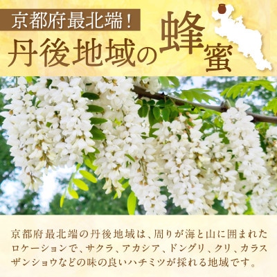【京都 京丹後産】 非加熱　純粋天然はちみつ 300g　百花ハチミツ