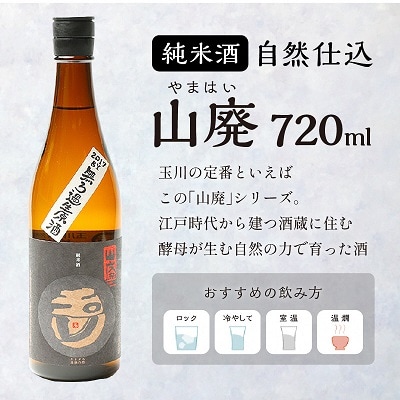 木下酒造 『玉川 自然仕込 純米酒 山廃』 無ろか生原酒 720ml 力強くコクもキレも抜群の日本酒