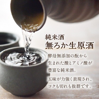 木下酒造 『玉川 自然仕込 純米酒 山廃』 無ろか生原酒 720ml 力強くコクもキレも抜群の日本酒