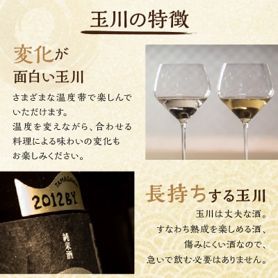 木下酒造 『玉川 自然仕込 純米酒 山廃』 無ろか生原酒 720ml 力強くコクもキレも抜群の日本酒