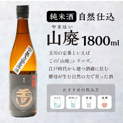 木下酒造 『玉川 自然仕込 純米酒 山廃』無ろか生原酒 1800ml 力強くコクもキレも抜群の日本酒