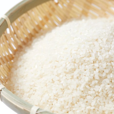 丹後うらら米(コシヒカリ)令和5年産　精米　10kg